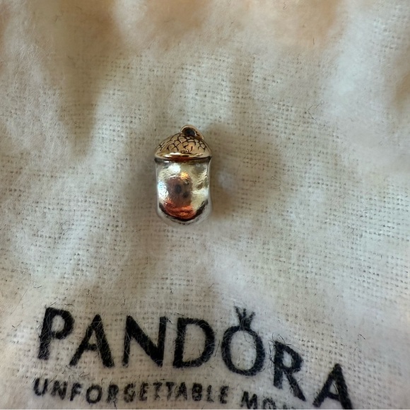 Official Pandora acorn charm for bracelet - Picture 2 of 6